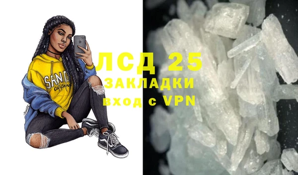 ГАЛЛЮЦИНОГЕННЫЕ ГРИБЫ Богданович