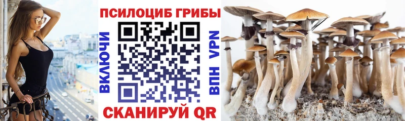 Галлюциногенные грибы прущие грибы  Лихославль 